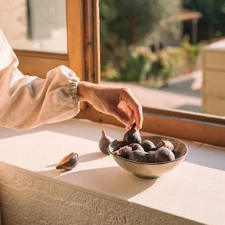 Estudio Niu Lohodihomes 公寓 赫罗纳