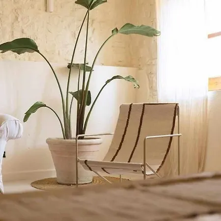 Apartmán Estudio Niu Lohodihomes *