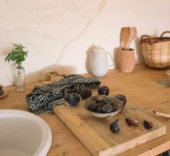 Estudio Niu Lohodihomes