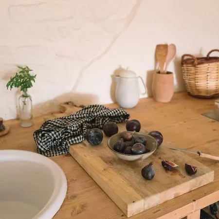 Estudio Niu Lohodihomes